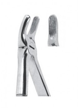 Extracting Forceps